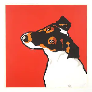 Shunyam - Zeefdruk, Take me home - Ingelijst kopen? Bied vanaf 50!