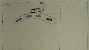 Reinier Lucassen - unieke pentekening op papier | 'Jolanda' | 1975 kopen? Bied vanaf 300!