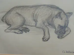 Claartje Mermans-Zoetmulder - Slapende honden kopen? Bied vanaf 55!