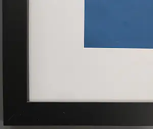 Dick Bruna - PRINTED ART – ingelijste gesigneerde zeefdruk kopen? Bied vanaf 399!