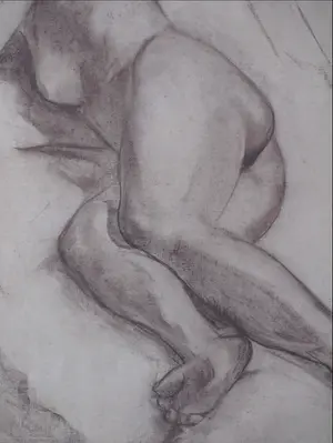 Niet of onleesbaar gesigneerd - Liggend Naakt - Tekening/houtskool kopen? Bied vanaf 1!