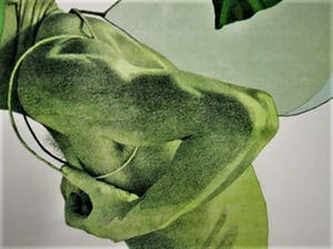 Rodolfo Meli - Toscaans Graficus - Groot Gesigneerd Litho " Zelfportret als Icarus in groen" kopen? Bied vanaf 1!