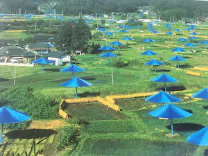 Christo - BLUE UMBRELLA'S + ORIGINELE STOF! kopen? Bied vanaf 135!