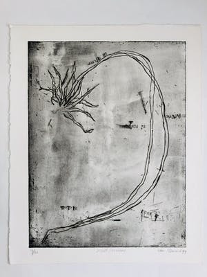 Frank van Hemert - secret survivors II kopen? Bied vanaf 75!