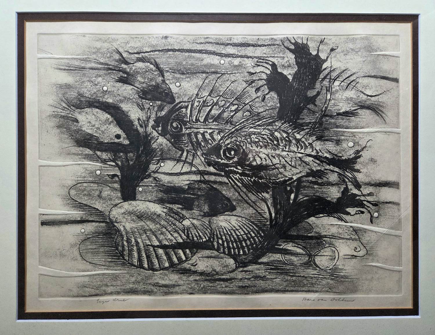 Hans van Dokkum - Vissen. Onderwater landschap. kopen? Bied vanaf 69!