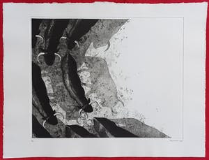 Rene Polak - Kudde, aquatint ets (kleine oplage) kopen? Bied vanaf 50!