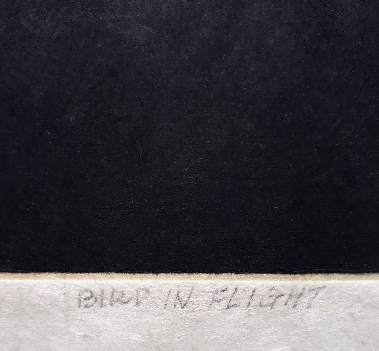 Tomoe Yokoi - Bird in flight, aquatint ets kopen? Bied vanaf 95!