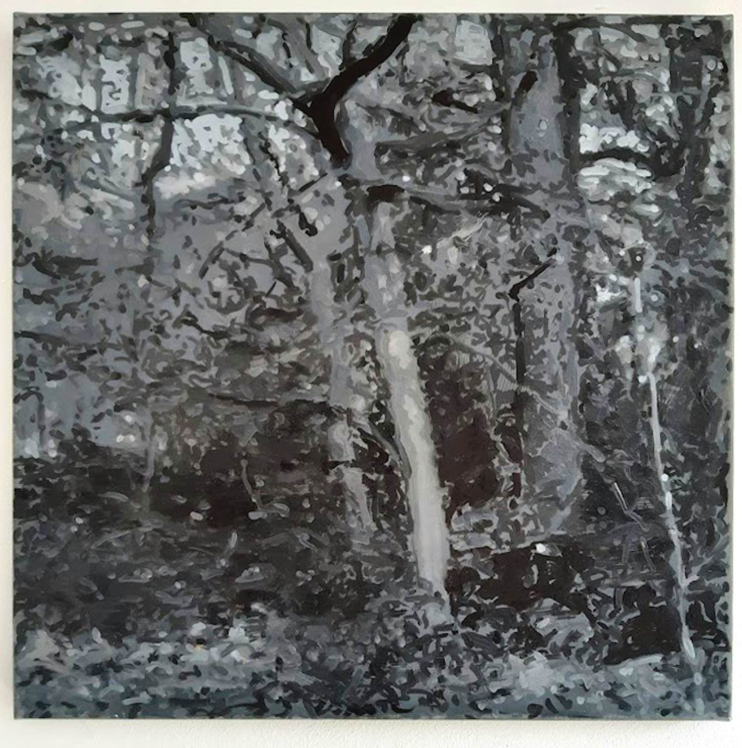 Erwin van Krey - Wald kopen? Bied vanaf 350!