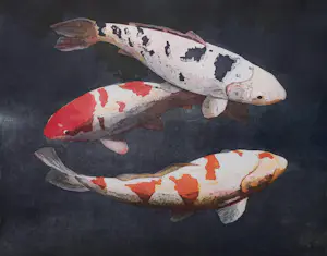 AcheterMarcel Schellekens - Koi karpers, aquatint ets (netjes ingelijst, groot!)? Enchérissez de 350!