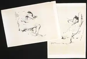 Aat Veldhoen - Lot van twee rotaprints verkocht voor € 1!