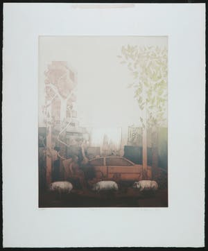 Martin Ware - Kleurenets, Fou 2 kopen? Bied vanaf 1!