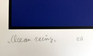 Ed van Doorn - Ocean Racing kopen? Bied vanaf 75!