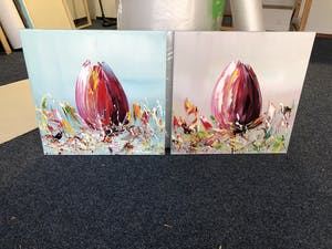 Gena - Bloemen Tulpen kopen? Bied vanaf 1!