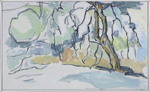 Paul Overhaus - Olieverf op doek, Bomen in Portugal - Ingelijst kopen? Bied vanaf 80!