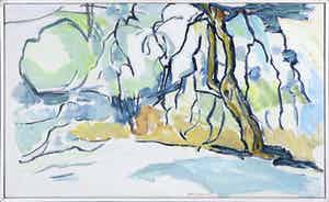 Paul Overhaus - Olieverf op doek, Bomen in Portugal - Ingelijst verkocht voor € 80!