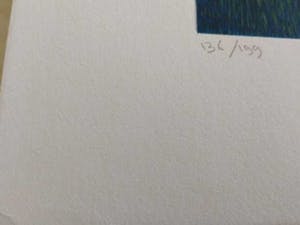 Ilona Schmit - Altijd Nieuwsgierig kopen? Bied vanaf 50!