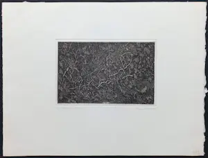 Willem Minderman - Planten, ets kopen? Bied vanaf 45!