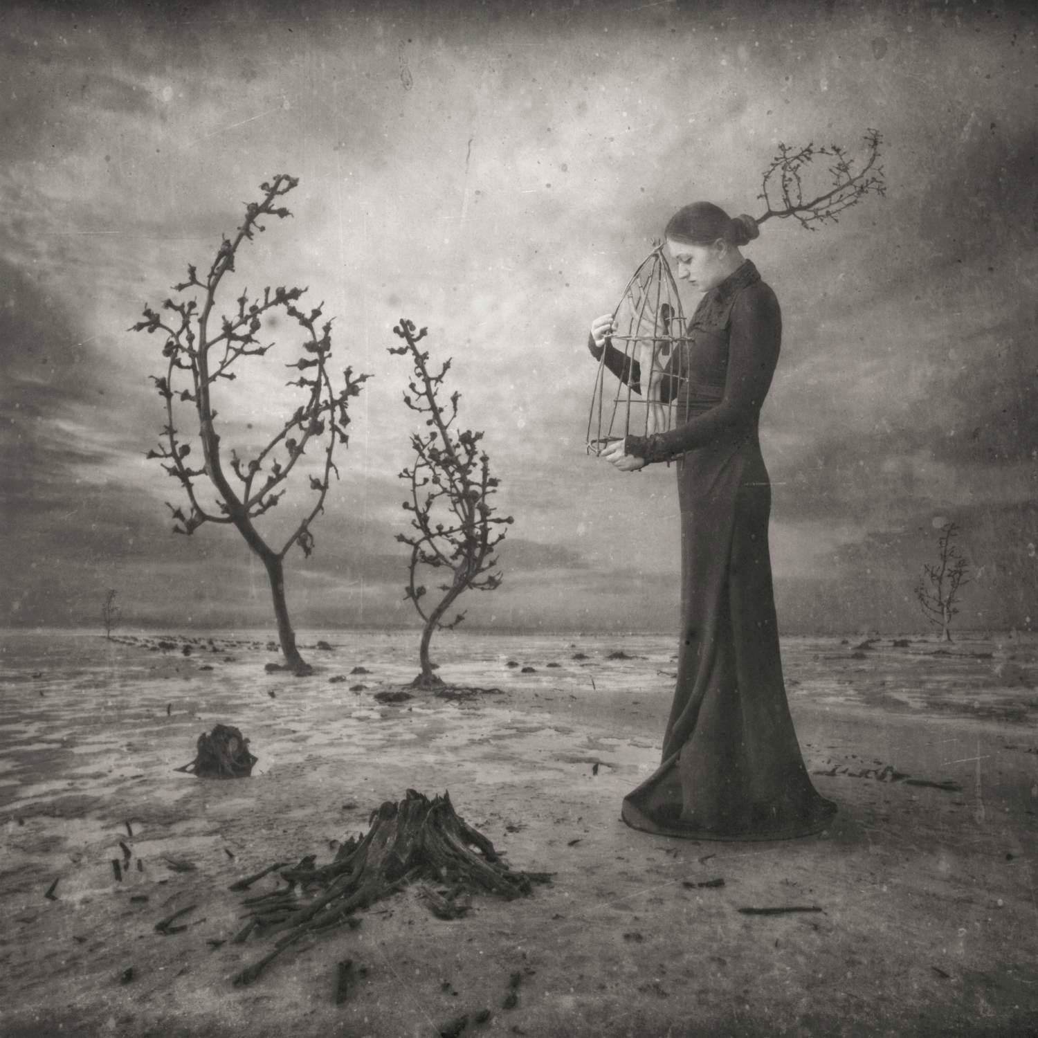 Dariusz Klimczak - 'Rusty Cage' (2014) - GRATIS VERZENDING kopen? Bied vanaf 70!