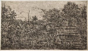 Simon Koene - Hut in het bos kopen? Bied vanaf 20!