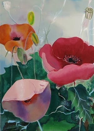 Marjan Jaspers - Zeefdruk, Klaprozen-Ingelijst kopen? Bied vanaf 1!