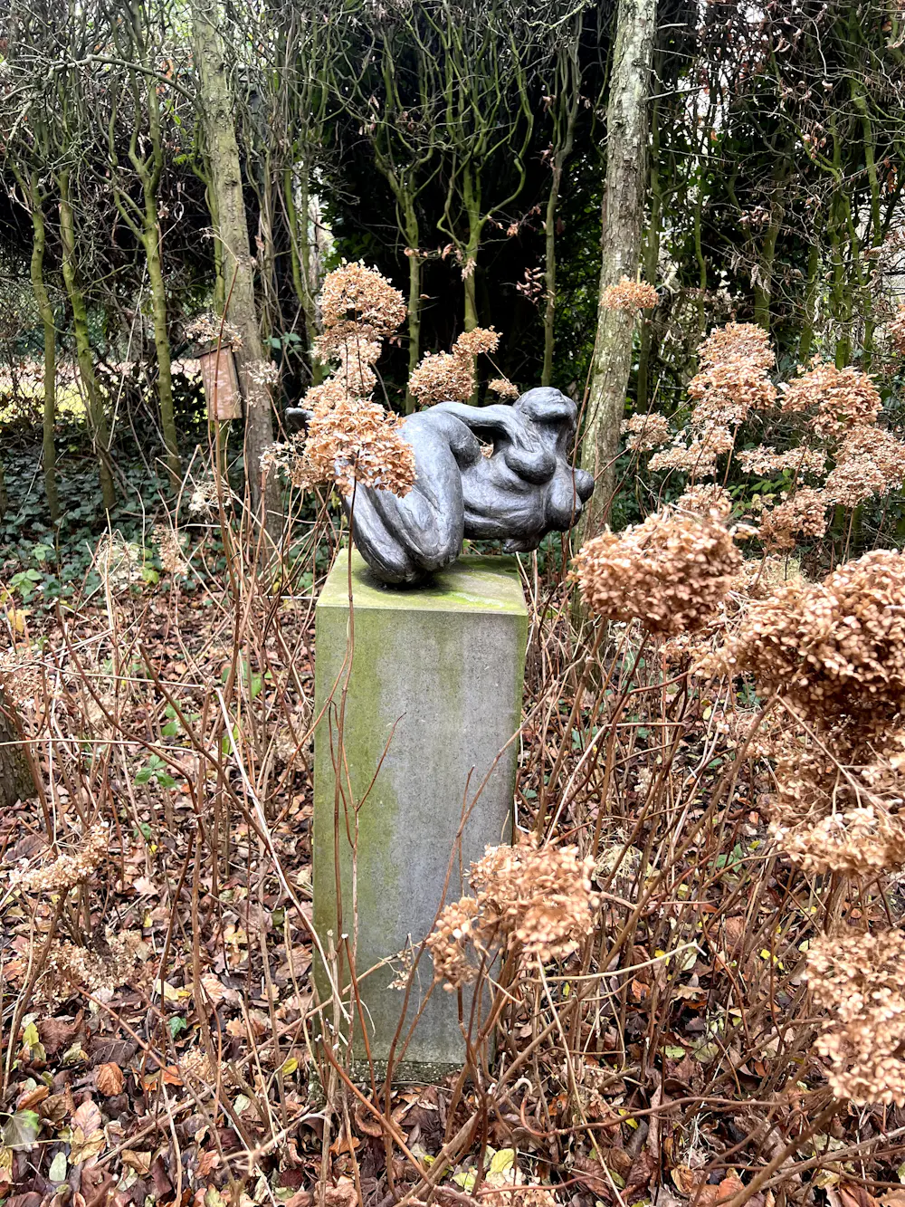 Clemens Pasch (1910-1985)