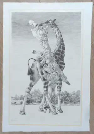Peter Vos - Gevoelens, litho kopen? Bied vanaf 20!