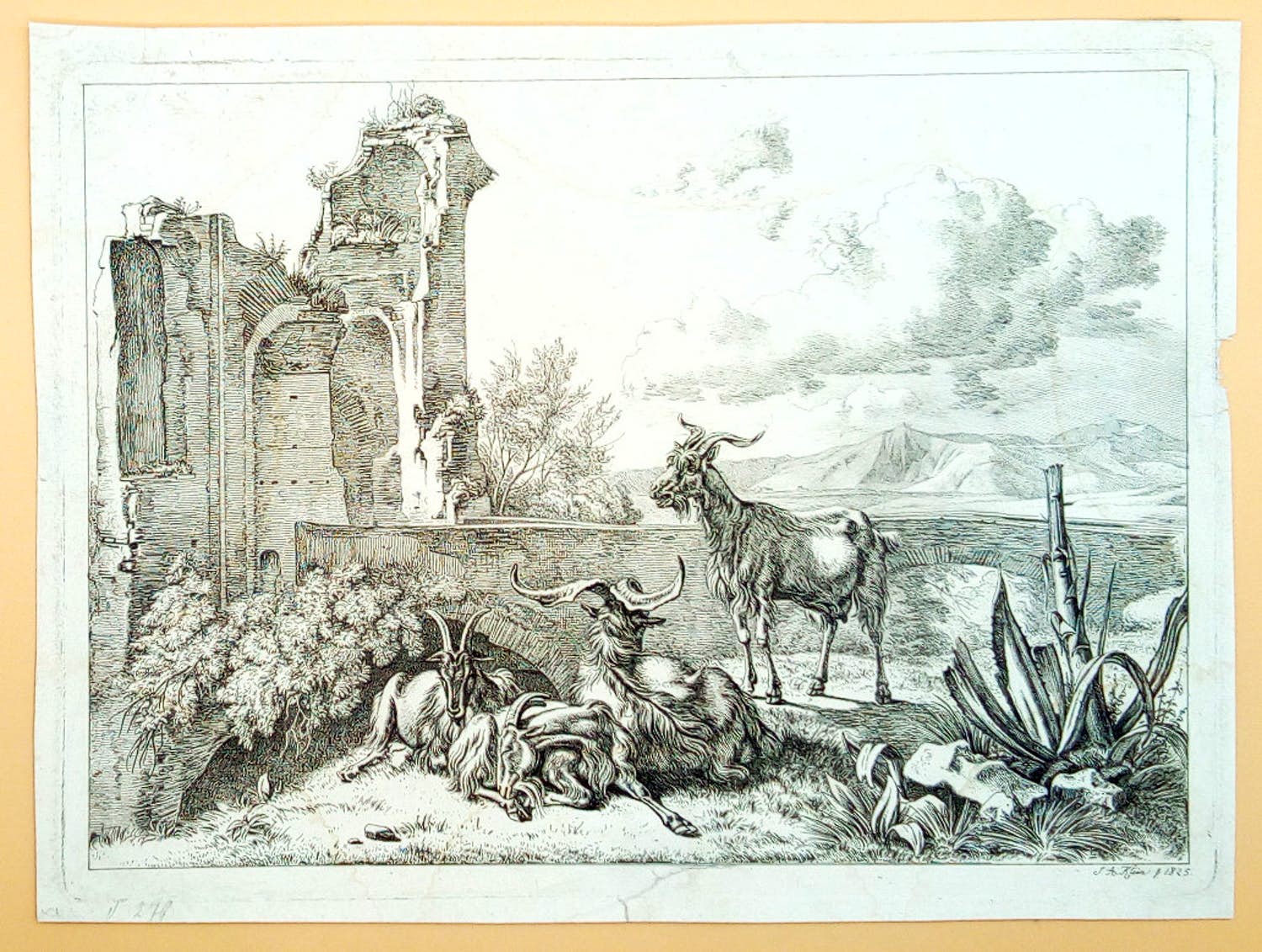 Johann Adam Klein - Vier geiten bij de ruïnes van de Romeinse keizerlijke paleizen. (LAATSTE KANS!) kopen? Bied vanaf 75!