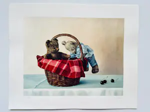 Marina Radius - De berenmand kopen? Bied vanaf 20!