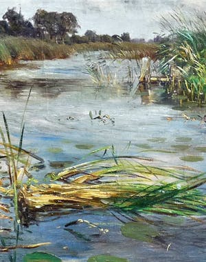 Willem Roelofs (jr.) - Gezicht op water met riet kopen? Bied vanaf 400!