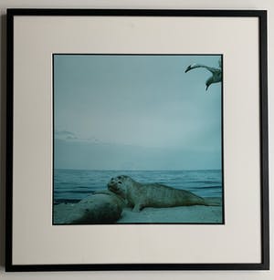 Paul den Hollander - kleurenfoto - 'Untitled' - 1984 (Achterzijde gesigneerd) kopen? Bied vanaf 75!