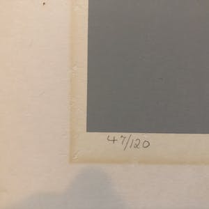 Jaap de Ruig - Aqualine 2 kopen? Bied vanaf 20!