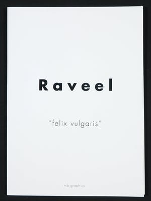 Roger Raveel - Suite van zes zeefdrukken, Felix Vulgaris kopen? Bied vanaf 2000!