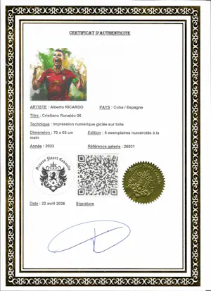 Alberto Ricardo - Cristiano Ronaldo 6 kopen? Bied vanaf 170!