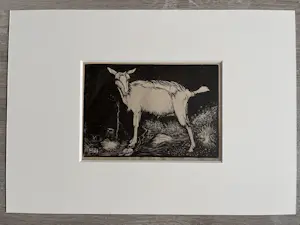 Jan Mankes - Originele Heliogravure Geit 1923 kopen? Bied vanaf 135!