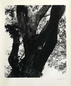 Norbert Buchsbaum - Gelatine zilverdruk - 1979 - 'Bali' - Gesigneerd verkocht voor € 45!