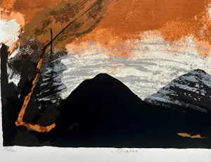 Henk van Vessem - Winter kopen? Bied vanaf 25!