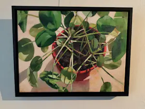 Willem Visser - Pannenkoekplant in rode pot kopen? Bied vanaf 160!