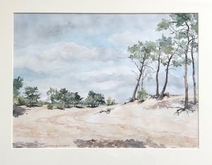 Lies Veenhoven - Drunense Duinen - Aquarel kopen? Bied vanaf 40!