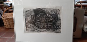 Henny van de Nieuwenhof - Krab kopen? Bied vanaf 400!