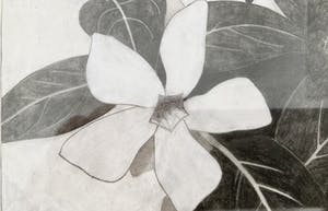 Mark Cohen - Work on paper N3 kopen? Bied vanaf 45!