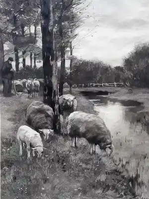 Willem Steelink (jr.) - Boer met schapen aan slootkant. verkocht voor € 49!