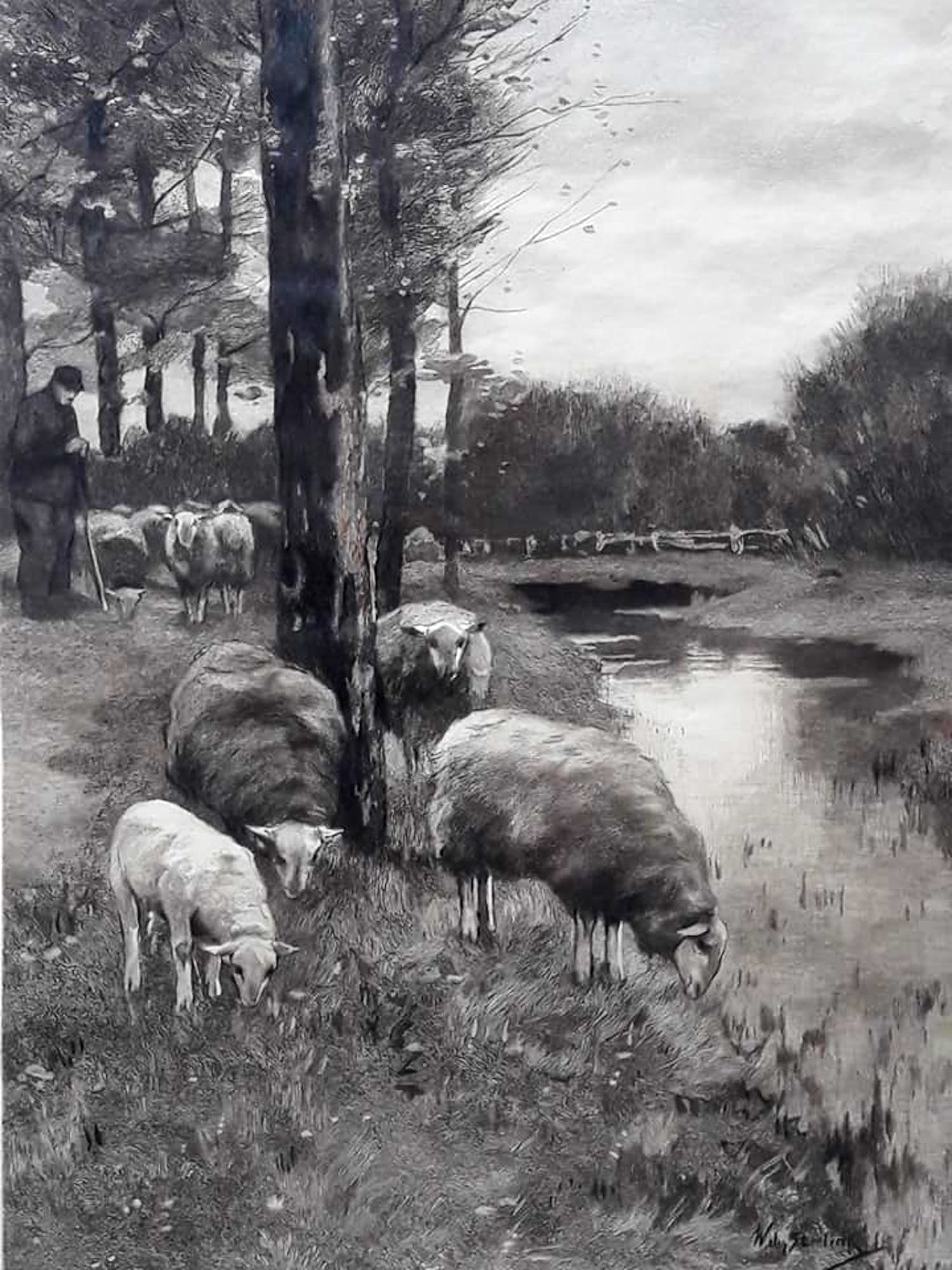 Willem Steelink (jr.) - Boer met schapen aan slootkant. kopen? Bied vanaf 49!