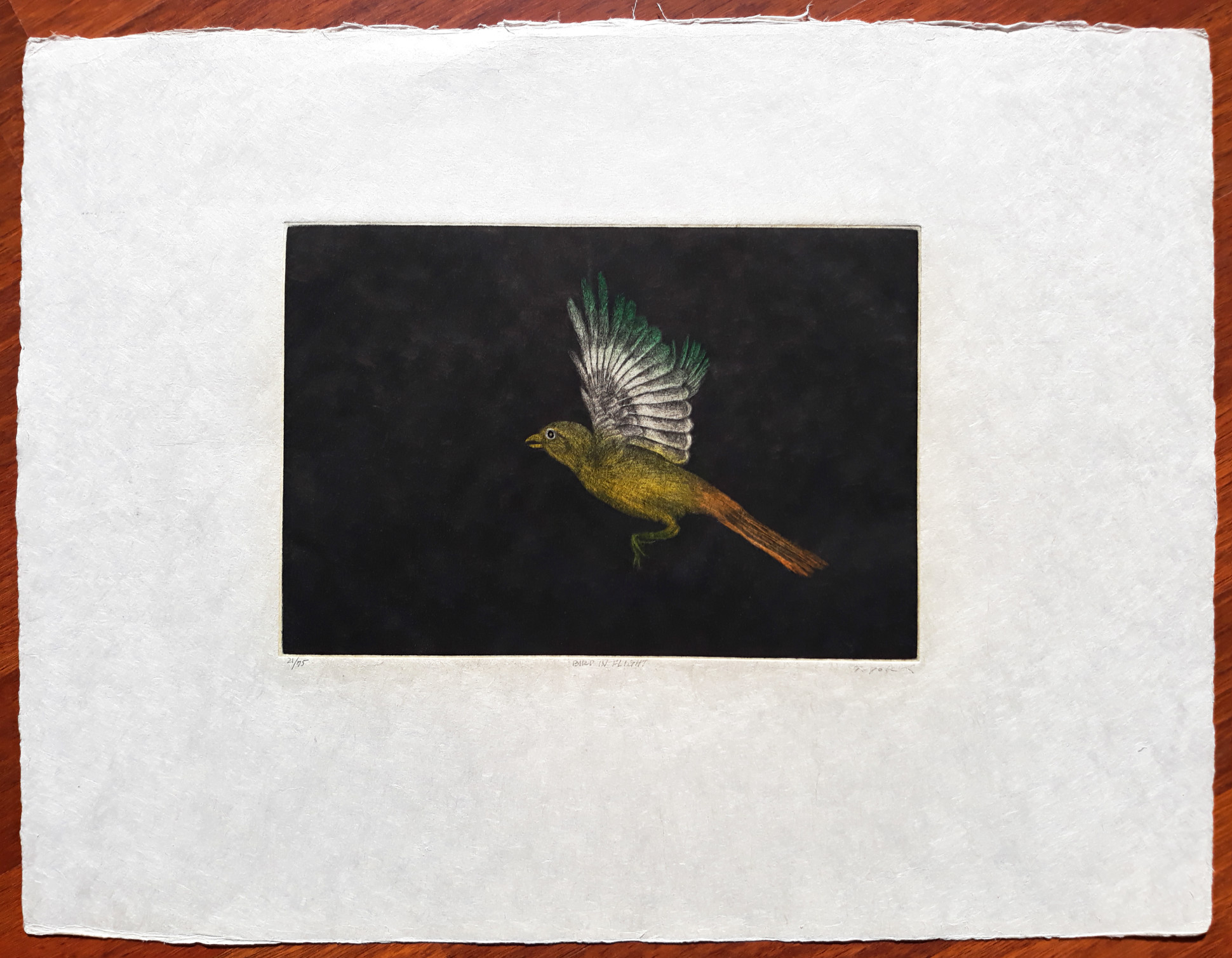 Tomoe Yokoi - Bird in flight, aquatint ets kopen? Bied vanaf 95!