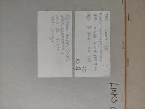 Mariska van den Enden - Gemengde techniek op doek, Aphrodite II (Zeer groot) kopen? Bied vanaf 200!