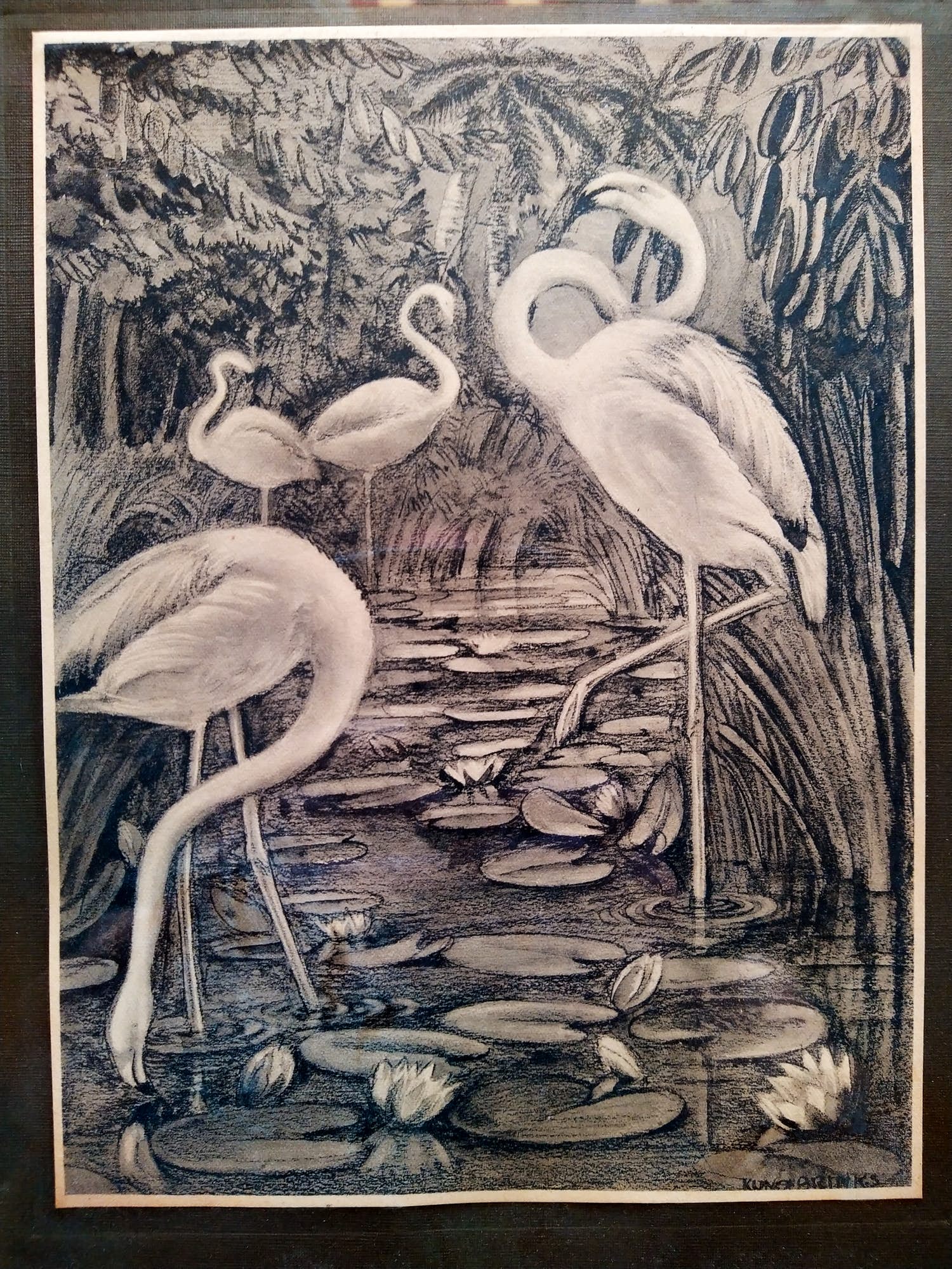 Kuno Brinks - Flamingo's kopen? Bied vanaf 45!