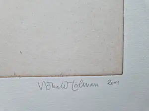 Ronald Tolman - in zeer kleine oplage (20) gemaakt - wee hij die over zijn schaduw stapt ... kopen? Bied vanaf 48!