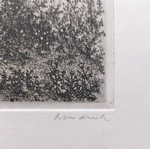 Willem Minderman - Struiken, ets kopen? Bied vanaf 45!