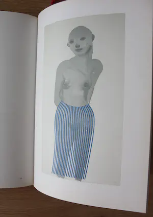 Marlene Dumas - boek: wet dreams kopen? Bied vanaf 45!