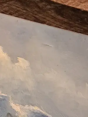 Meeuwis van Buuren - Authentiek Zeegezicht Meeuwis van Buuren (1902-1992) – Herkomst Gebr. Koch kopen? Bied vanaf 110!