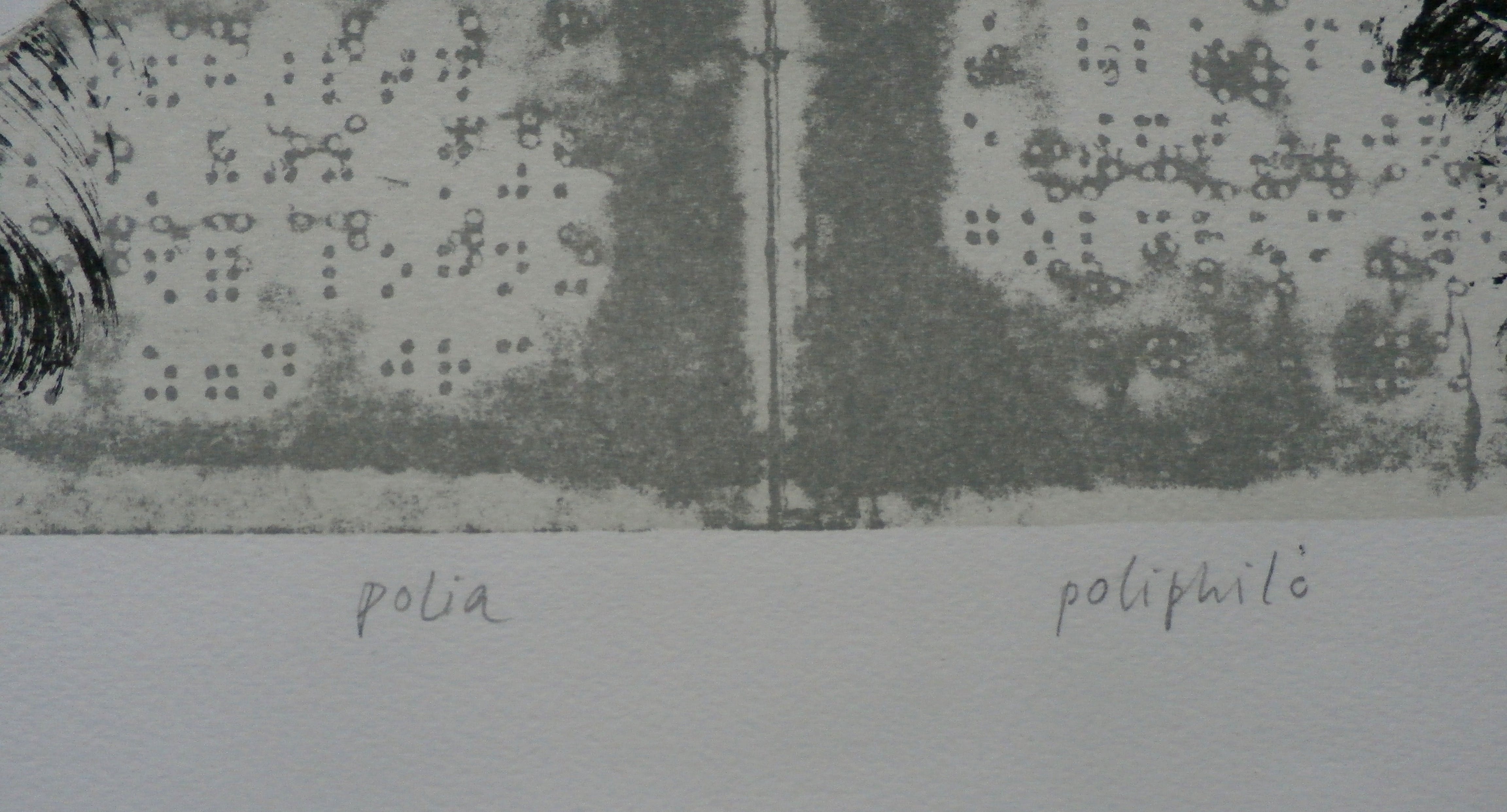 Willem Oorebeek - litho: Polia poliphile - 1981 kopen? Bied vanaf 35!